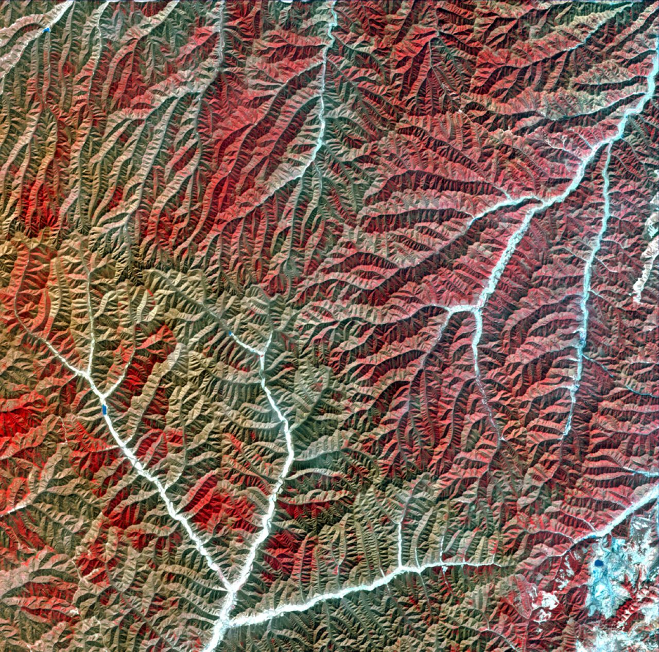 Vegetation and dried rivers of a mountain range in Gansu province, imaged by Gaofen-1, launched in 2013.